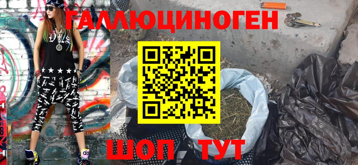 Псилоцибиновые грибы Psilocybe  Вход с VPN  Мирный 