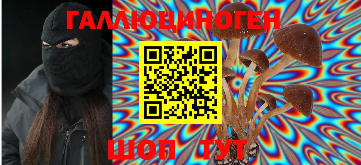 Галлюциногенные грибы MAGIC MUSHROOMS Мирный